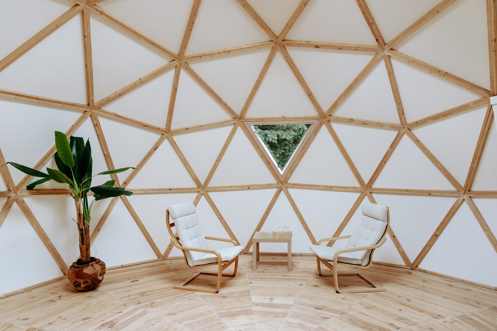 Espace d'accueil du dôme avec fauteuils et plante, lumière naturelle
